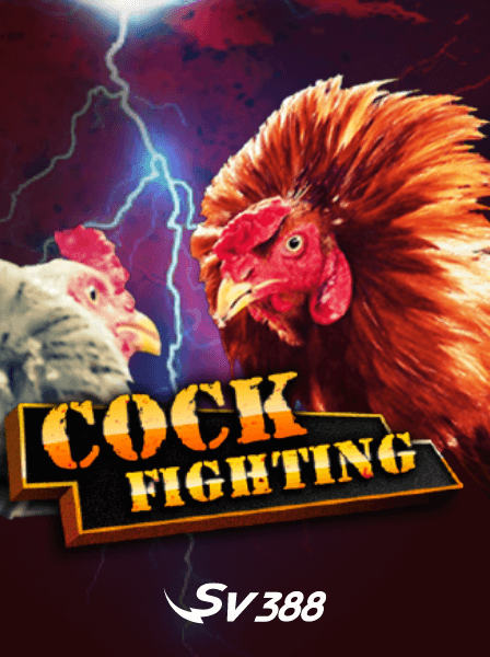 Tại sao Poker Việt Nam ngày càng thu hút người chơi trẻ?